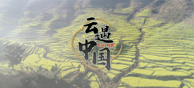 融合向新！央广网2025年重点融合产品发布(图7)