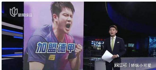 樊振东高考成热搜焦点职业选择引发网友热议(图7)