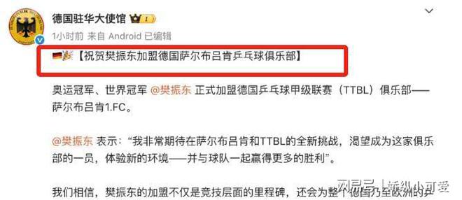 樊振东高考成热搜焦点职业选择引发网友热议(图6)