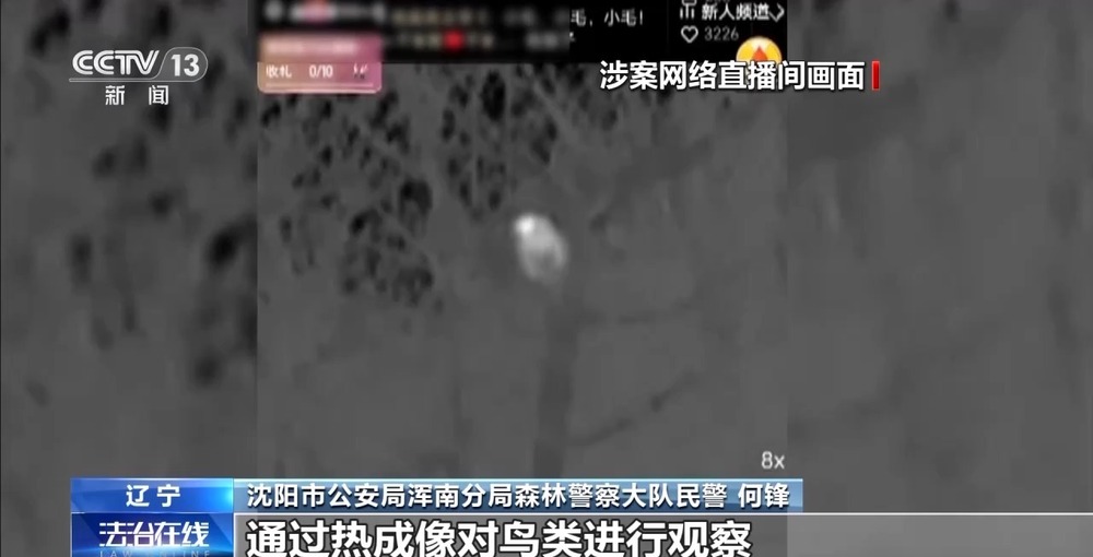 主播为“涨粉”直播猎鸟 黑色链条被警方打掉(图2)
