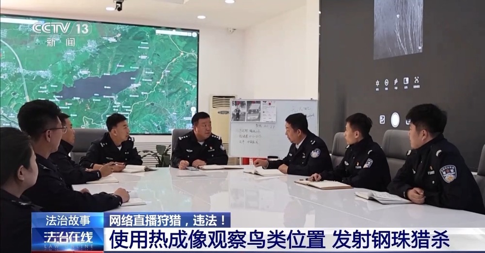 主播为“涨粉”直播猎鸟 黑色链条被警方打掉(图4)