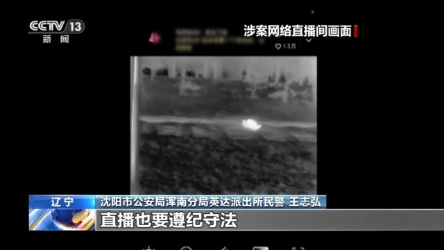 主播为“涨粉”直播猎鸟 黑色链条被警方打掉(图8)