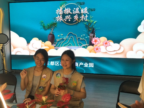 黄金时代实践团创新直播形式 助力盆景艺术数字化传播(图1)