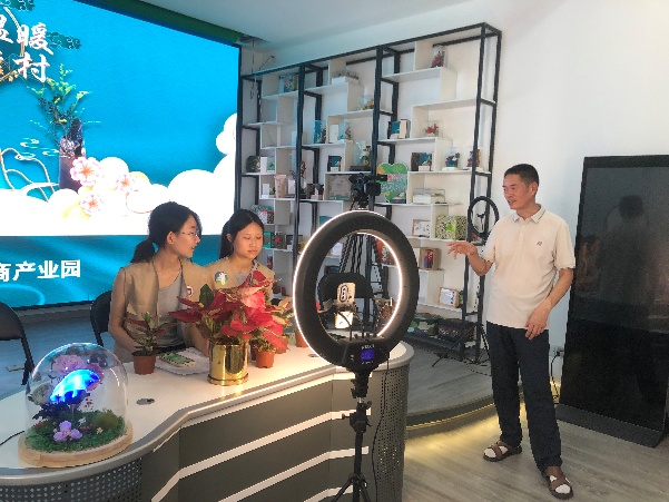 黄金时代实践团创新直播形式 助力盆景艺术数字化传播(图4)