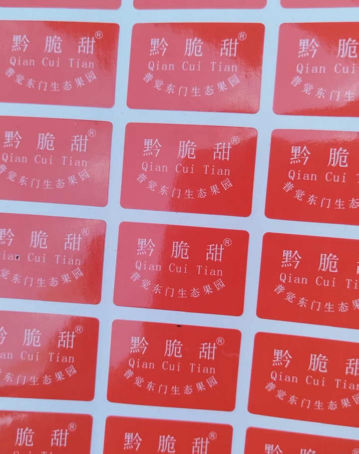 松桃普觉镇新型农民激活乡村振兴新动能(图3)