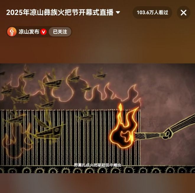 3590万人在线！凉山彝族火把节直播全程高能(图5)