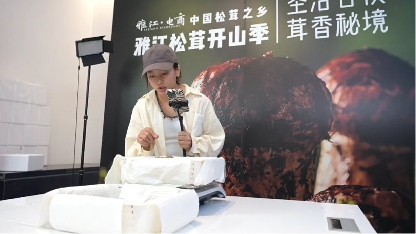 四川雅江：在“云端”一场跨越山海的“鲜味交易”(图3)