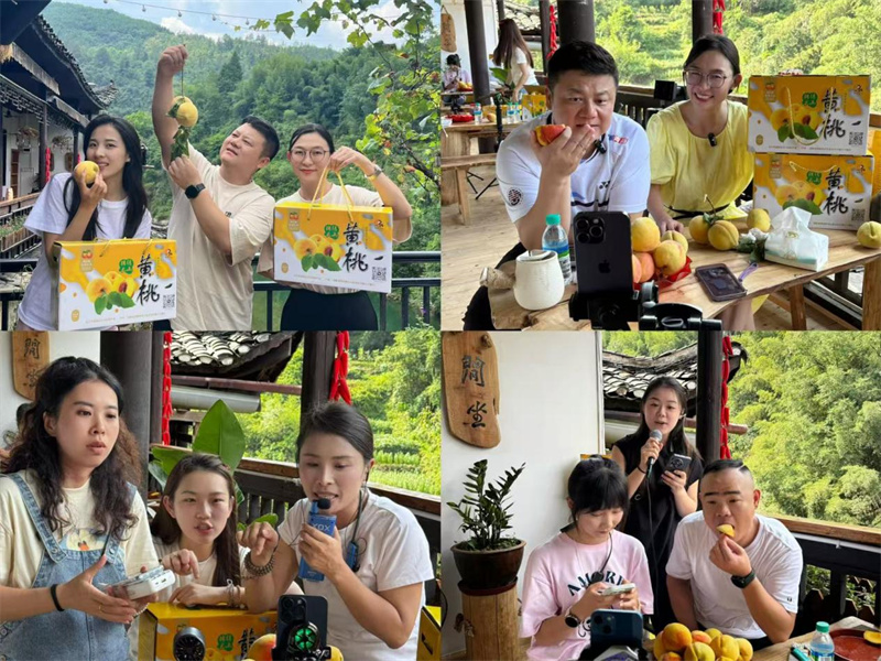 望城：党建红赋能数字蓝 助洗车河黄桃打通“出山通道”(图1)