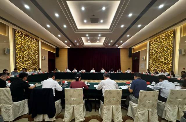 广东向优质网络视听项目“抛橄榄枝”力推微