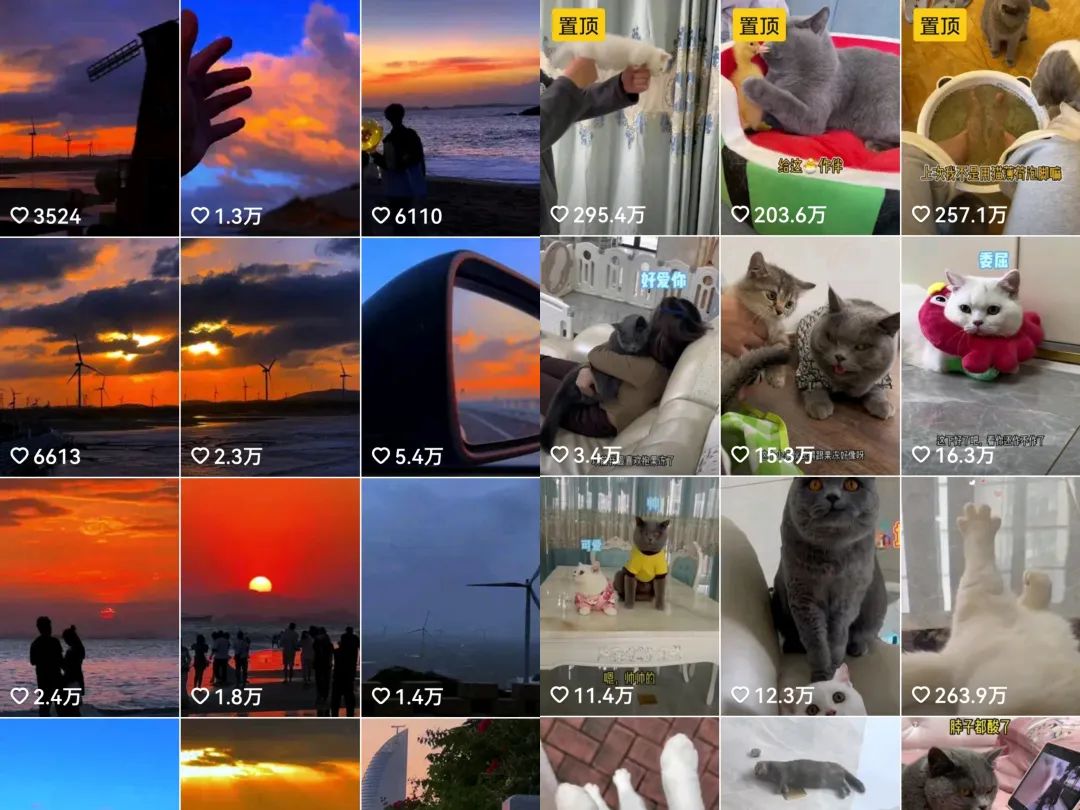 2026年新手直播从0到1全流程指南:襄