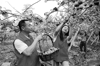 2026年私域直播系统排行